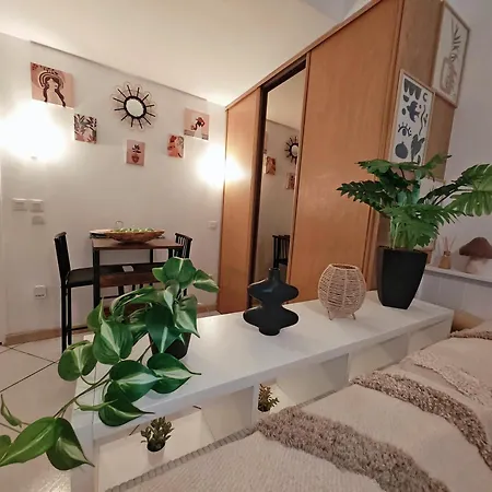 Apartamento La Grotte Boheme Lourdes